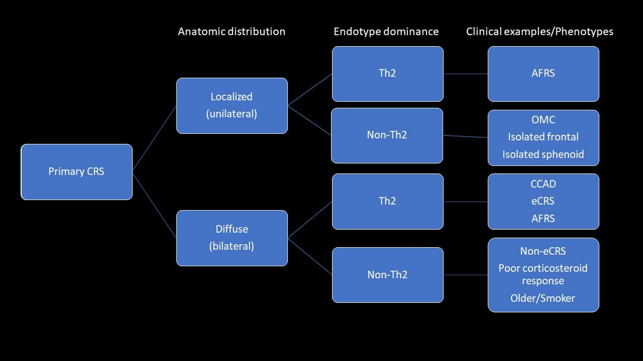 sinus specialist harvey sydney sinusitis classification