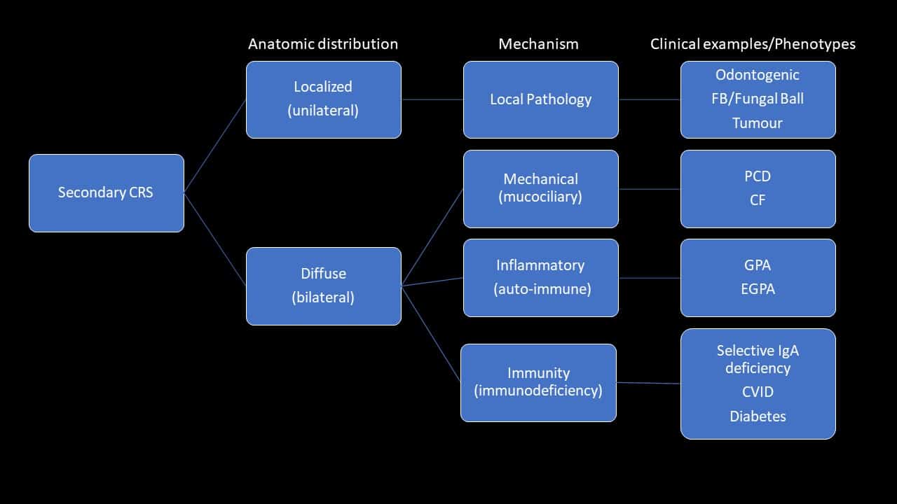 sinus specialist harvey sydney sinusitis classification